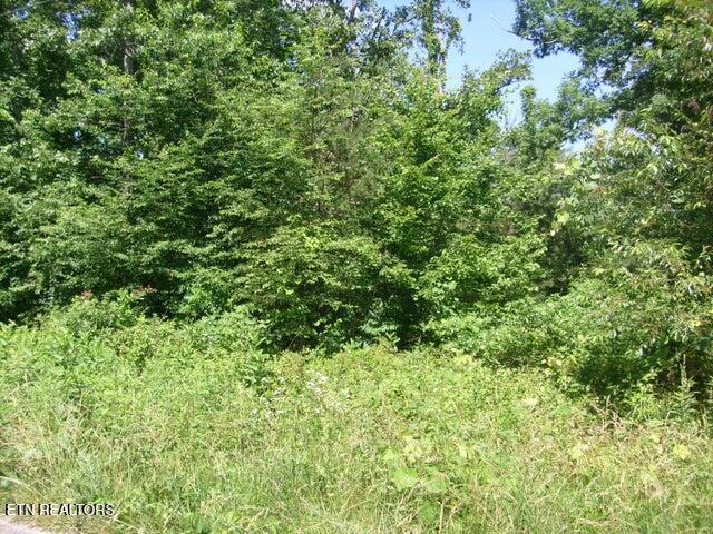1564 Cherokee Road East Crossville, TN 38572 - Photo 11 of 14 Wooded Lot