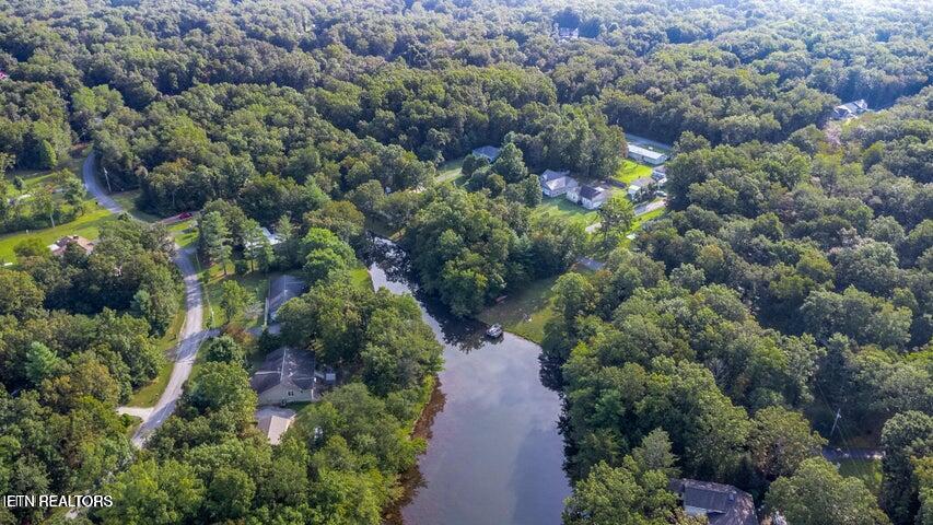 1564 Cherokee Road East Crossville, TN 38572 - Photo 5 of 14 Wooded Lot