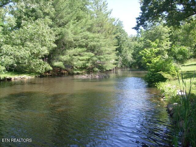 1564 Cherokee Road East Crossville, TN 38572 - Photo 10 of 14 Lakefront