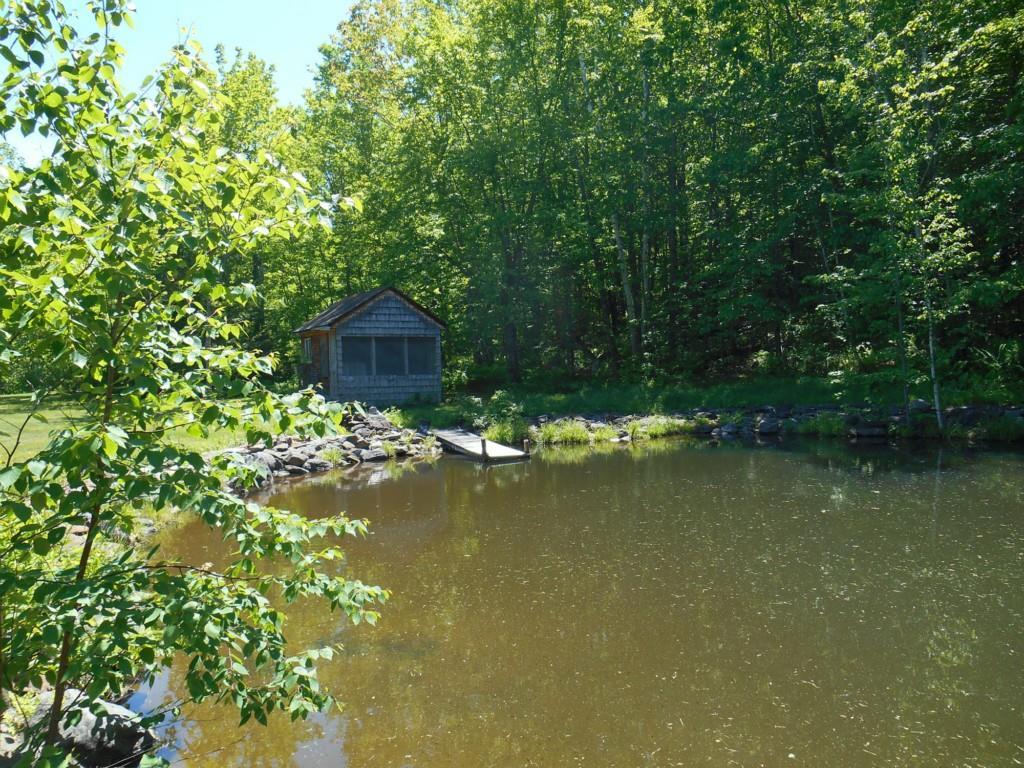 13 Varnum Pond Road Temple, ME 04984 - Photo 20 of 30 Spring fed retention pond...