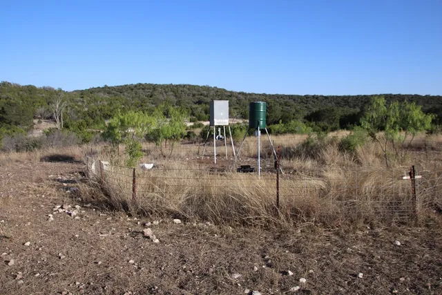 a view of a dry yard with trees in the background