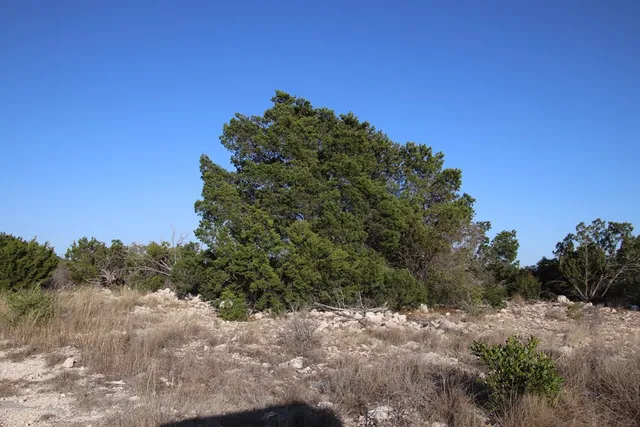 a view of city and ocean