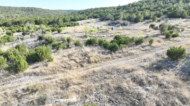 an aerial view of forest