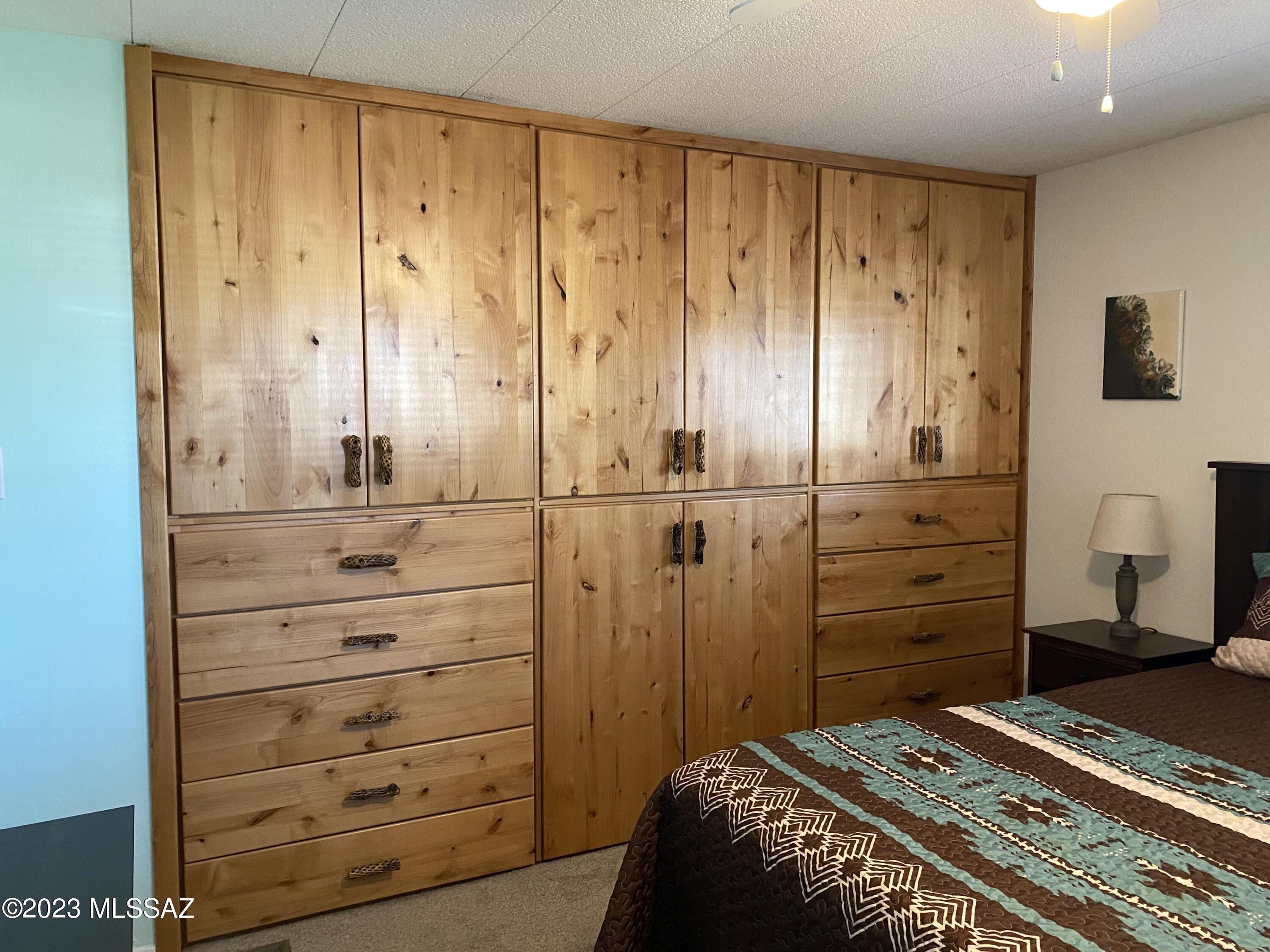 5755 West Box R Street Tucson, AZ 85713 - Photo 31 of 33 Custom closet with drawers