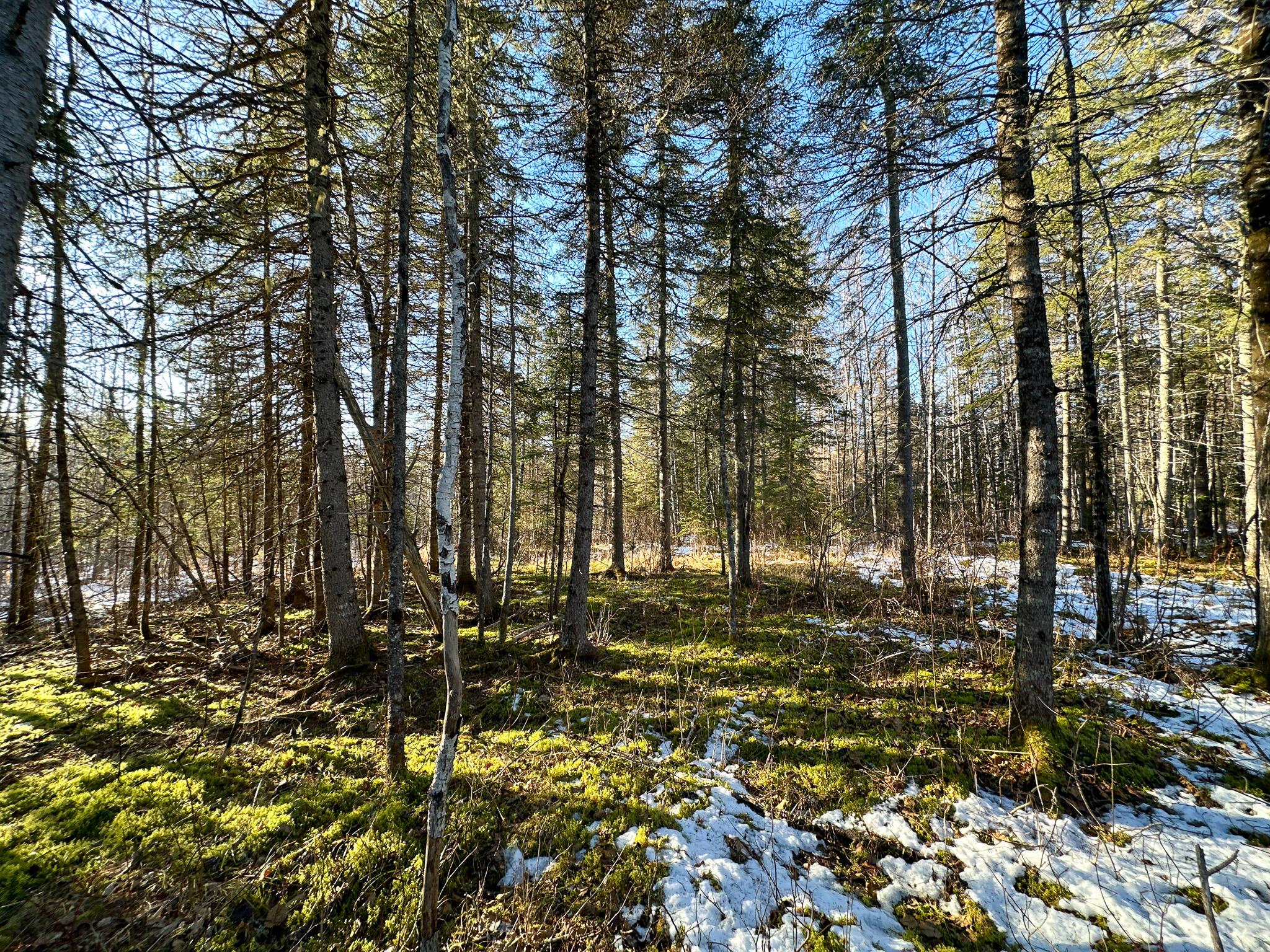 M2-l24b McIntyre Road Woodland, ME 04736 - Photo 35 of 39 Photo Dec 13 2024, 2 41 20 PM