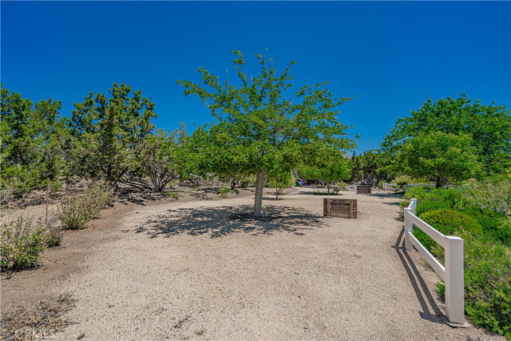 6367 Valley Sage Road Acton, CA 91390 - Photo 11 of 48