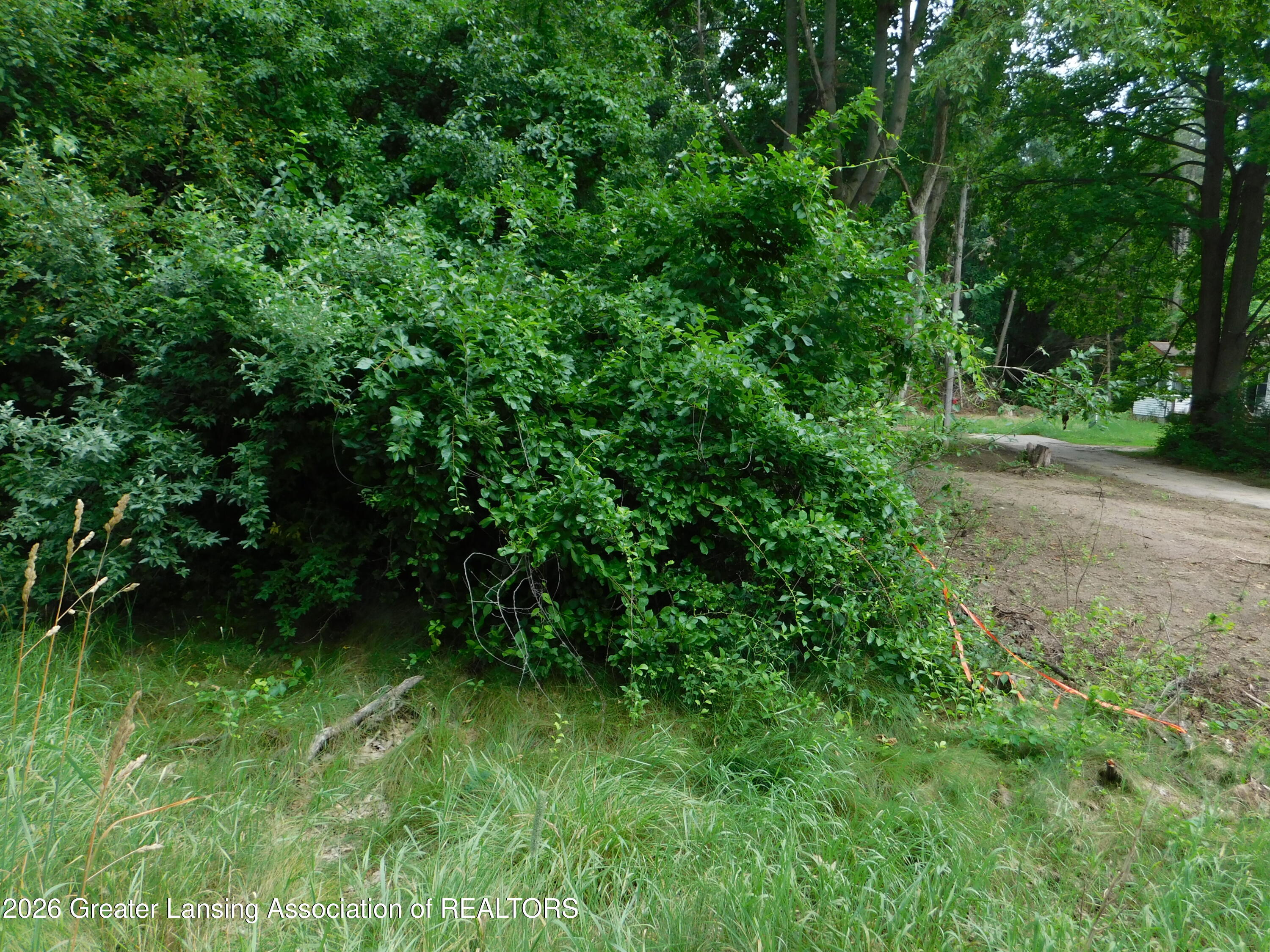 0 Robson Road Bath, MI 48808 - Photo 11 of 17 DSCN0271