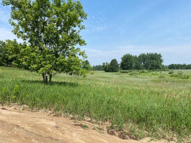8914 East Monroe Road Walkerville, MI 49459 - Photo 3 of 11 IMG_3053