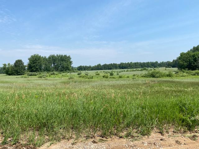 8914 East Monroe Road Walkerville, MI 49459 - Photo 5 of 11 IMG_3055