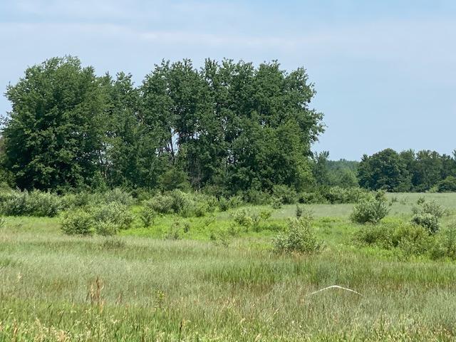 8914 East Monroe Road Walkerville, MI 49459 - Photo 10 of 11 IMG_3061 (1)