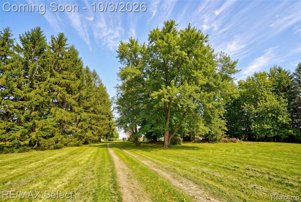 8296 Center Road Mount Morris, MI 48458 - Photo 5 of 35 Gallery Image 5