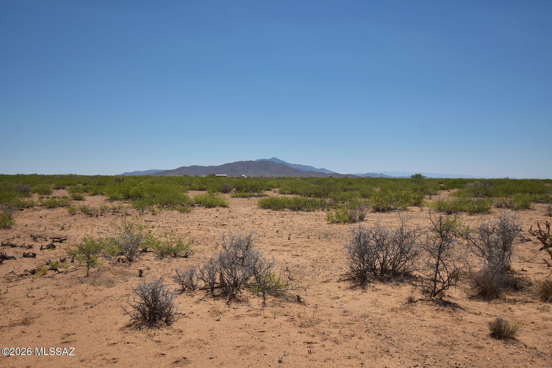 4-acres North Round Up Road, Unit 426 Willcox, AZ 85643 - Photo 13 of 19