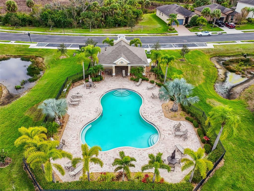 4730 111th Terrace East Parrish, FL 34219 - Photo 56 of 60 a view of swimming pool with a yard