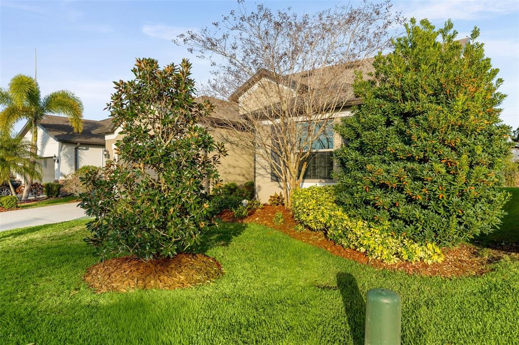 4730 111th Terrace East Parrish, FL 34219 - Photo 7 of 60 a backyard of a building with lots of green space