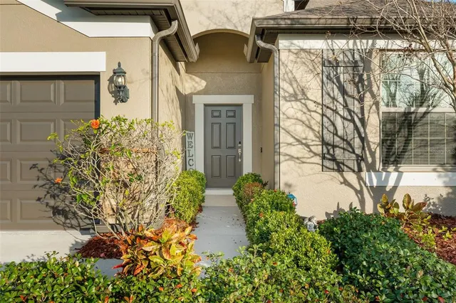 a hallway with painting on the wall and a potted plant