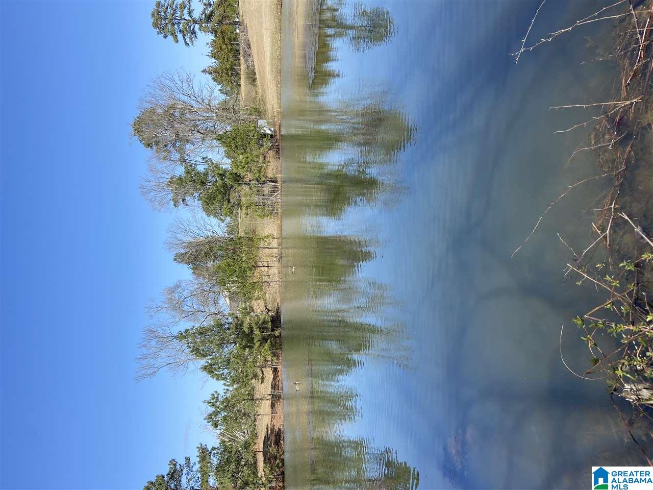 0 Pine Mountain Road, Unit 1 Springville, AL 35146 - Photo 7 of 15 Gallery Image 7