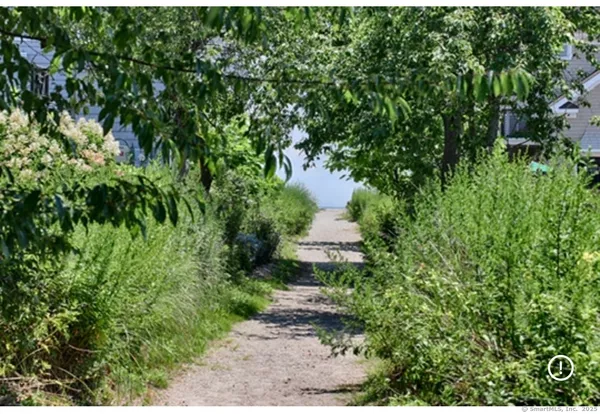 a view of a yard of a house with a yard