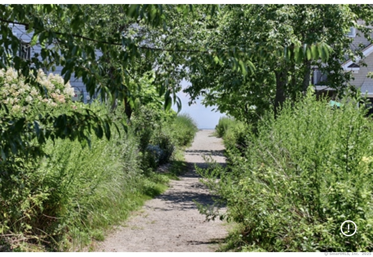 560 Fairfield Beach Road Fairfield, CT 06824 - Photo 34 of 38 a view of a yard of a house with a yard