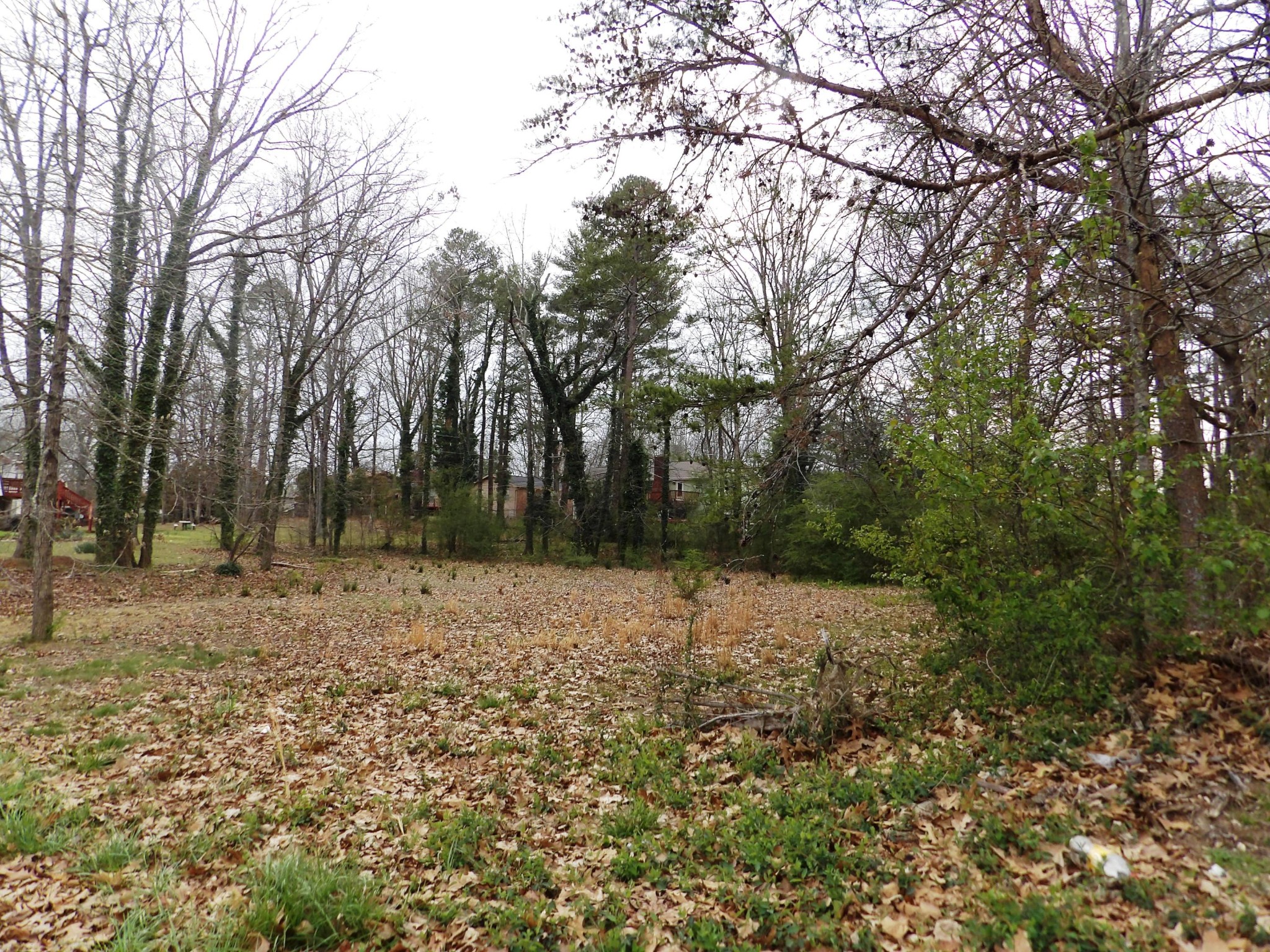 14 Cicero Trail Chattanooga, TN 37421 - Photo 4 of 8