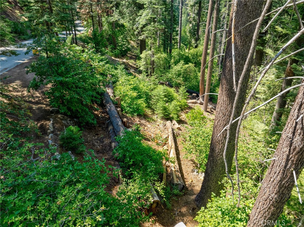 7419 Henness Ridge Road Yosemite National Park, CA 95389 - Photo 11 of 18 an aerial view of a garden with plants