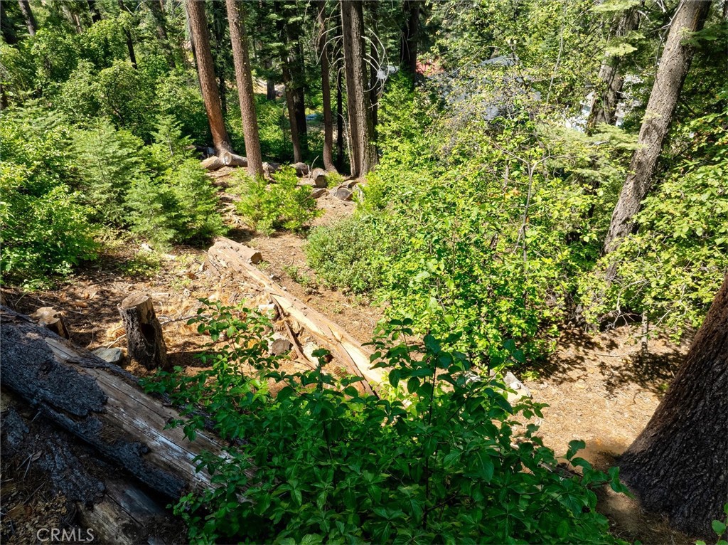 7419 Henness Ridge Road Yosemite National Park, CA 95389 - Photo 12 of 18
