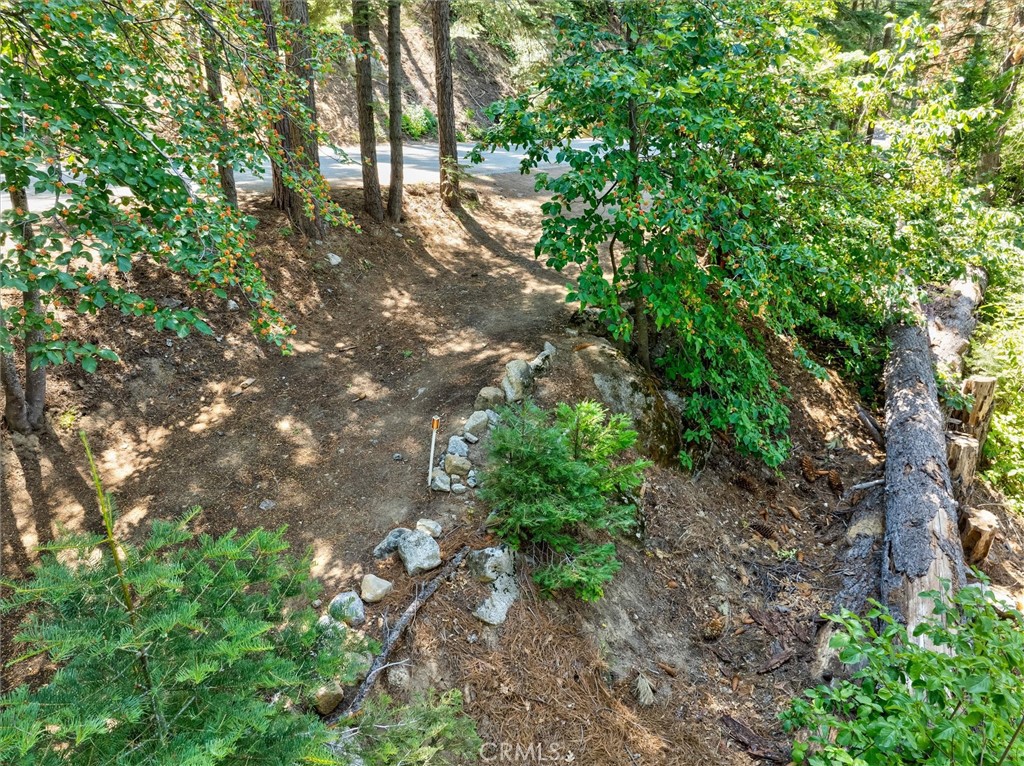 7419 Henness Ridge Road Yosemite National Park, CA 95389 - Photo 13 of 18 a backyard of a house with lots of green space