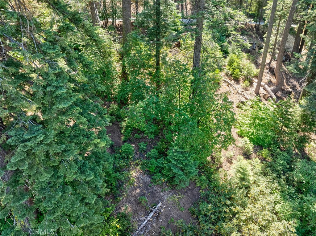 7419 Henness Ridge Road Yosemite National Park, CA 95389 - Photo 14 of 18 an aerial view of residential house with outdoor space and trees all around