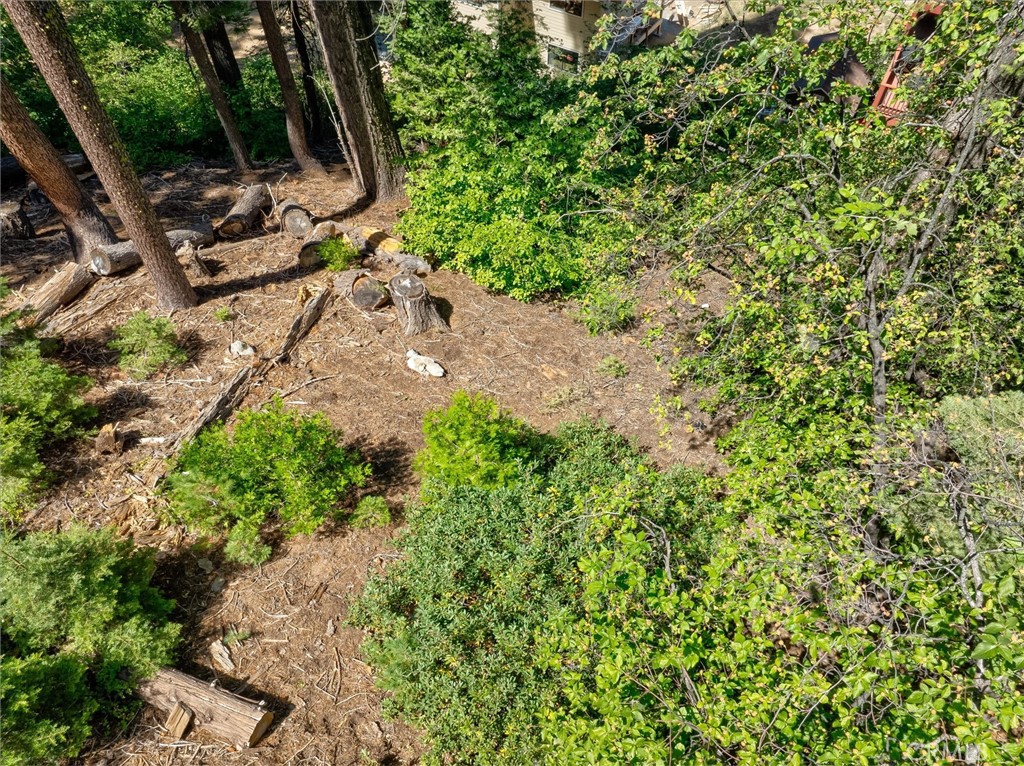 7419 Henness Ridge Road Yosemite National Park, CA 95389 - Photo 16 of 18 a view of outdoor space with trees all around