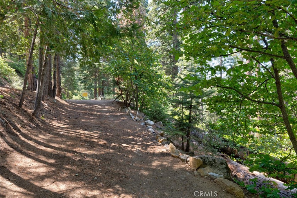7419 Henness Ridge Road Yosemite National Park, CA 95389 - Photo 18 of 18 a view of a road with plants and trees