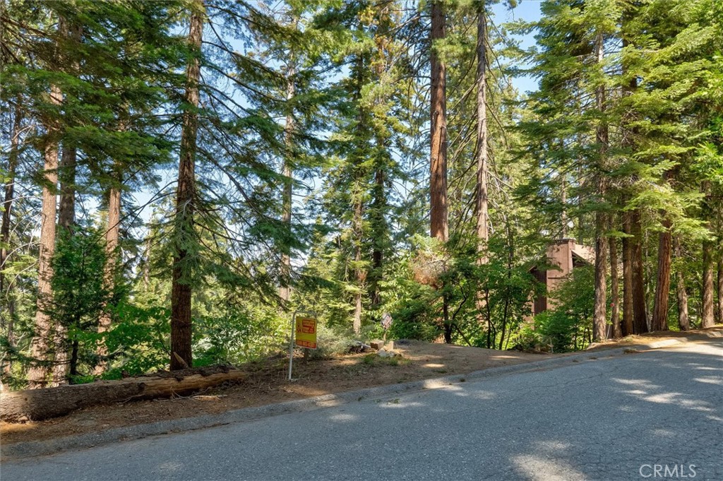 7419 Henness Ridge Road Yosemite National Park, CA 95389 - Photo 2 of 18 a road view