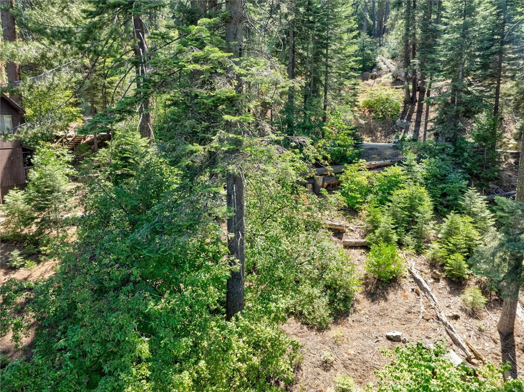 7419 Henness Ridge Road Yosemite National Park, CA 95389 - Photo 5 of 18 a view of a garden with plants