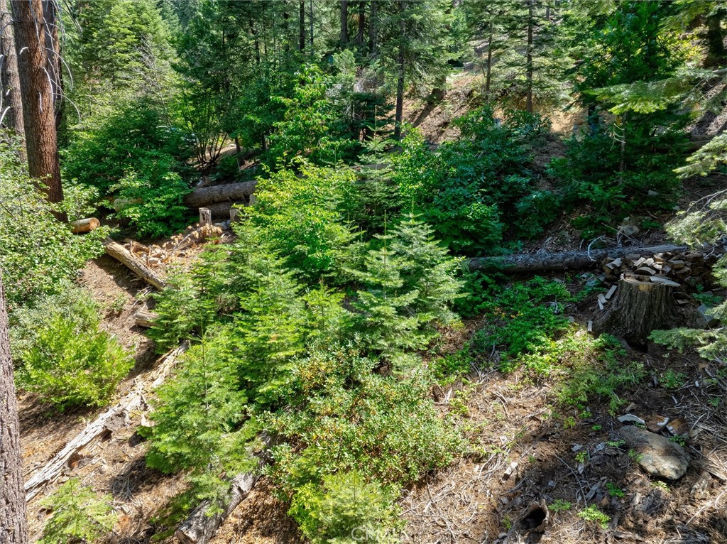 7419 Henness Ridge Road Yosemite National Park, CA 95389 - Photo 7 of 18 a view of a garden with a tree