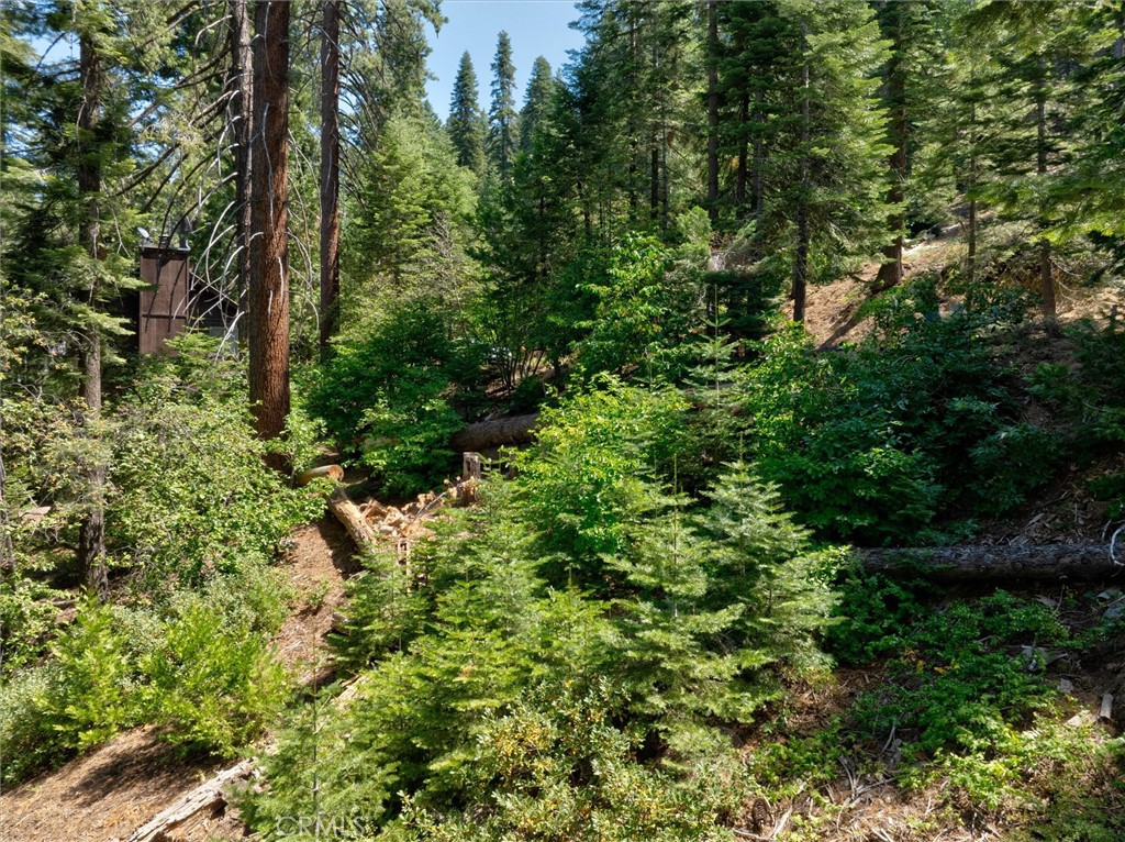 7419 Henness Ridge Road Yosemite National Park, CA 95389 - Photo 8 of 18