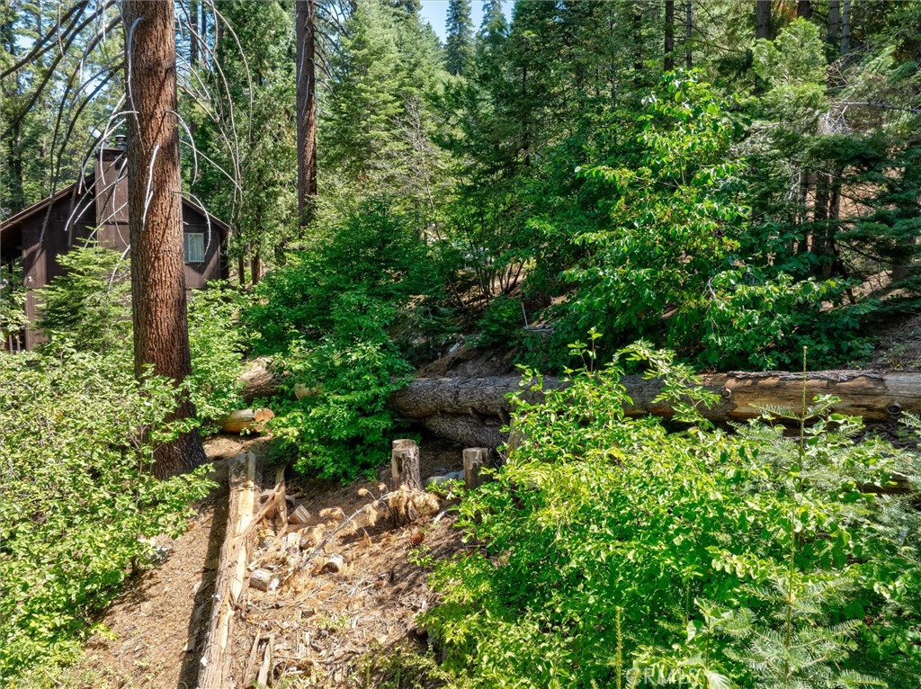 7419 Henness Ridge Road Yosemite National Park, CA 95389 - Photo 9 of 18 a backyard of a house with lots of green space