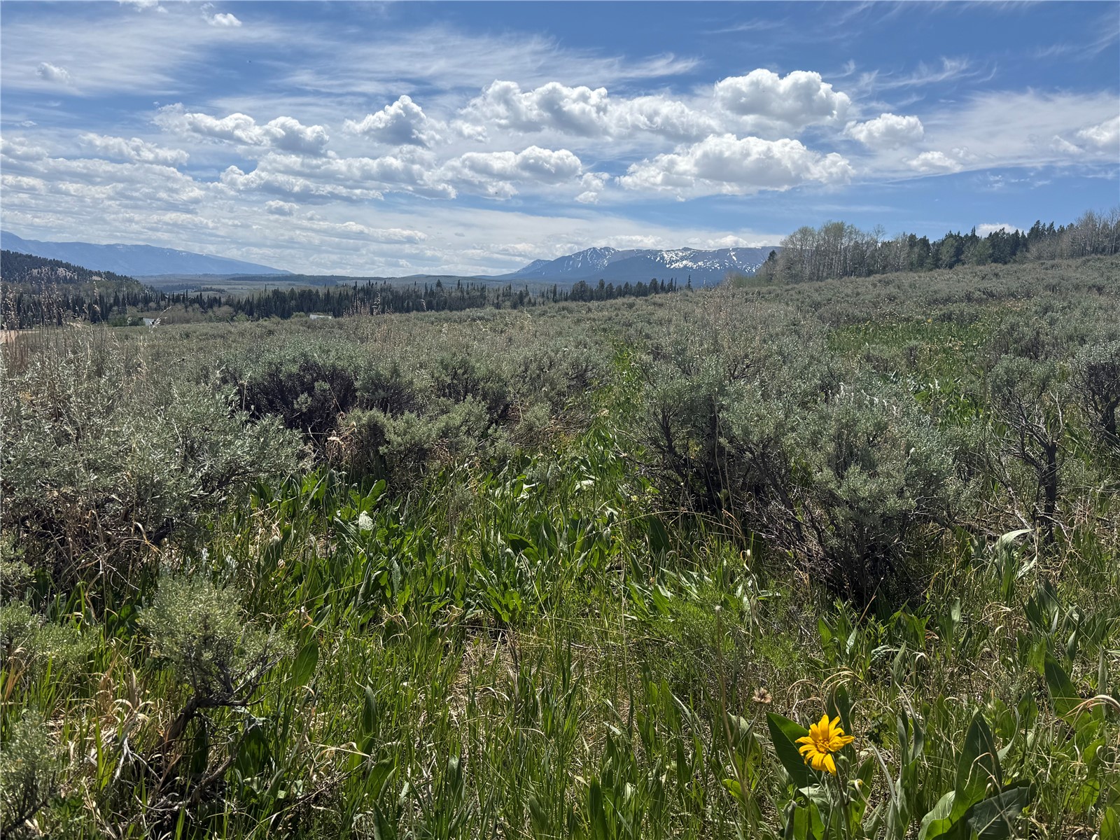 Tbd Spring Creek Ranch Road Silverthorne, CO 80498 - Photo 33 of 48
