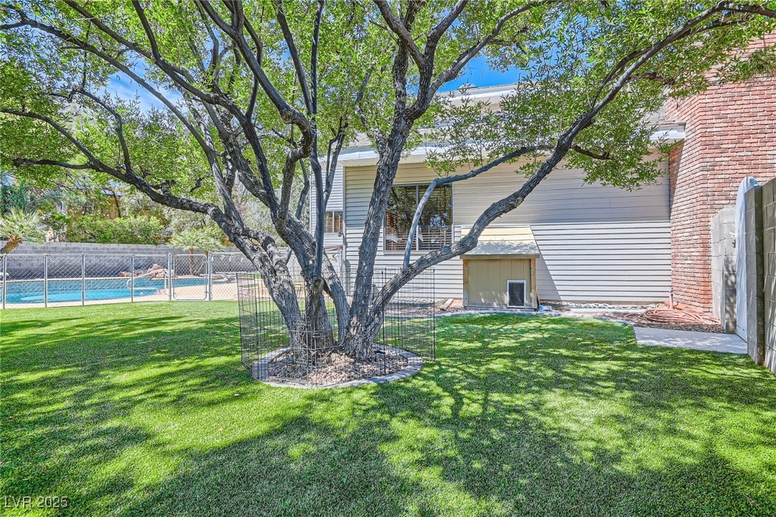 4075 East Oquendo Road Las Vegas, NV 89120 - Photo 53 of 63 dog run