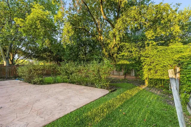 a view of a backyard