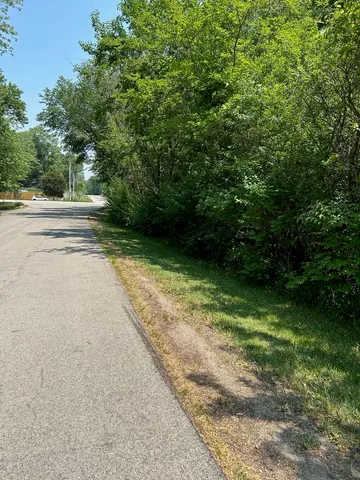 a view of a yard with plants and a large trees