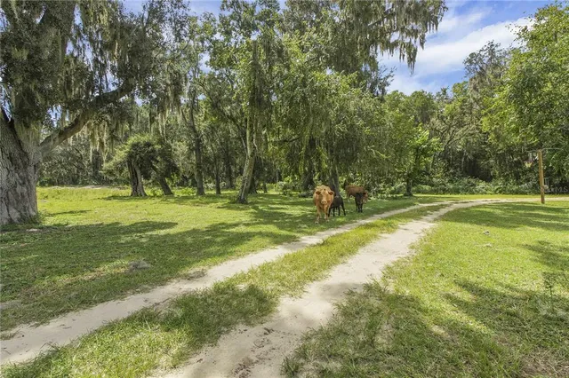 $1,200,000 | 10757 County Road 223, Oxford, FL 34484