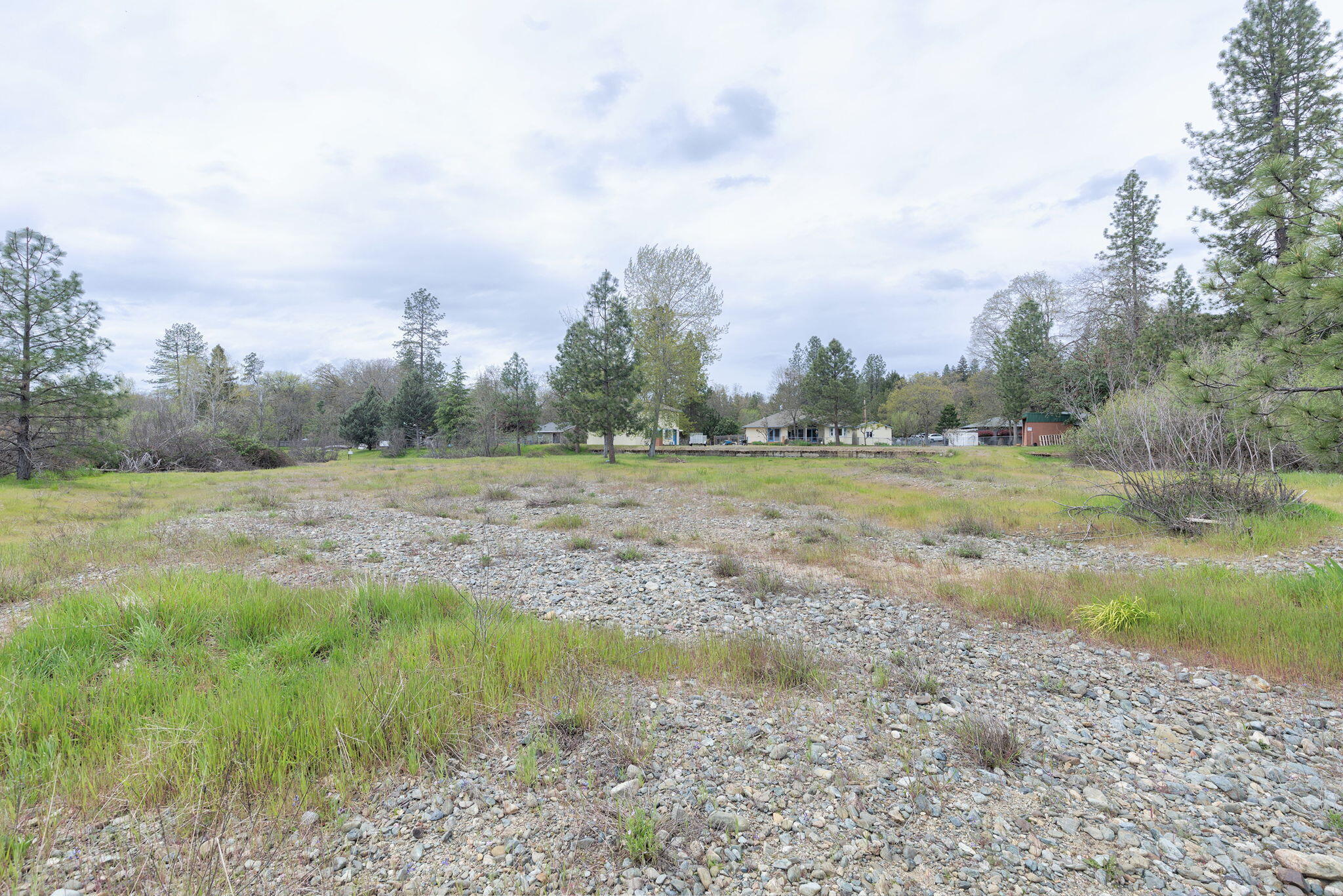 449 Connie Lane Merlin, OR 97532 - Photo 31 of 38 Back yard to Creek