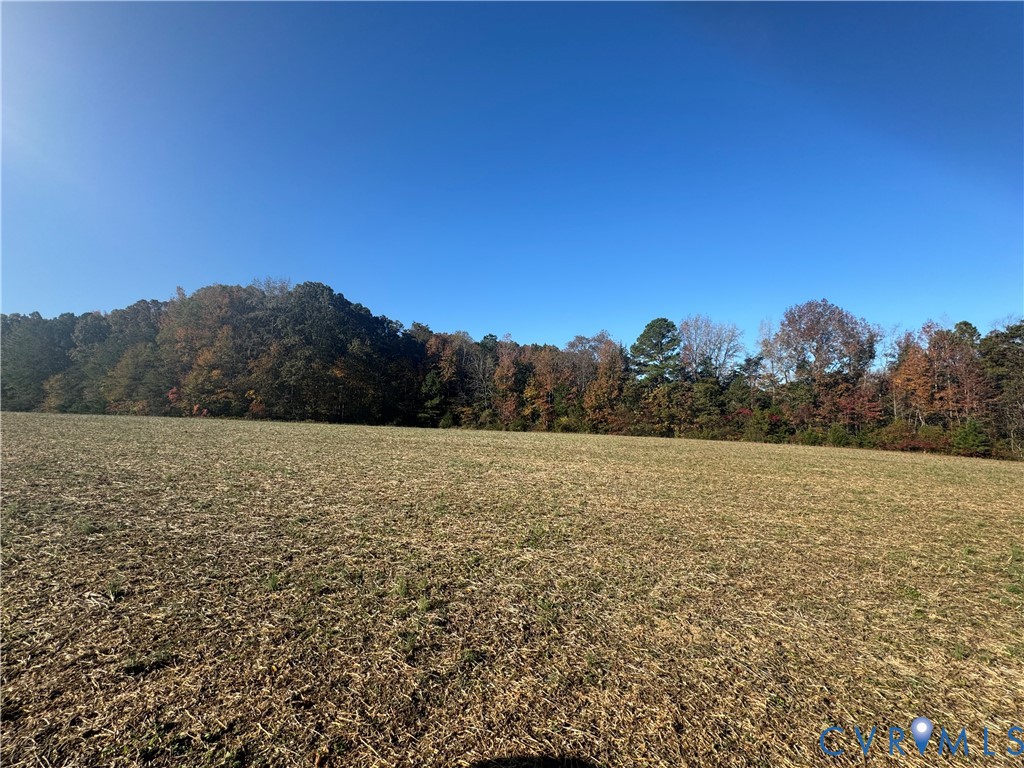 Lot 2 Bourne Road Montpelier, VA 23192 - Photo 2 of 45 View of property