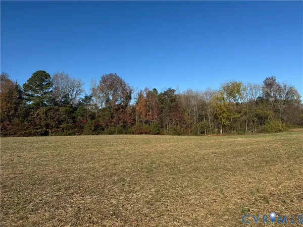 a view of dirt field with trees in background