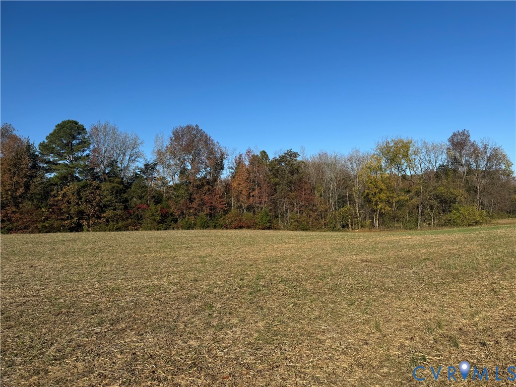 Lot 2 Bourne Road Montpelier, VA 23192 - Photo 43 of 45 View of property