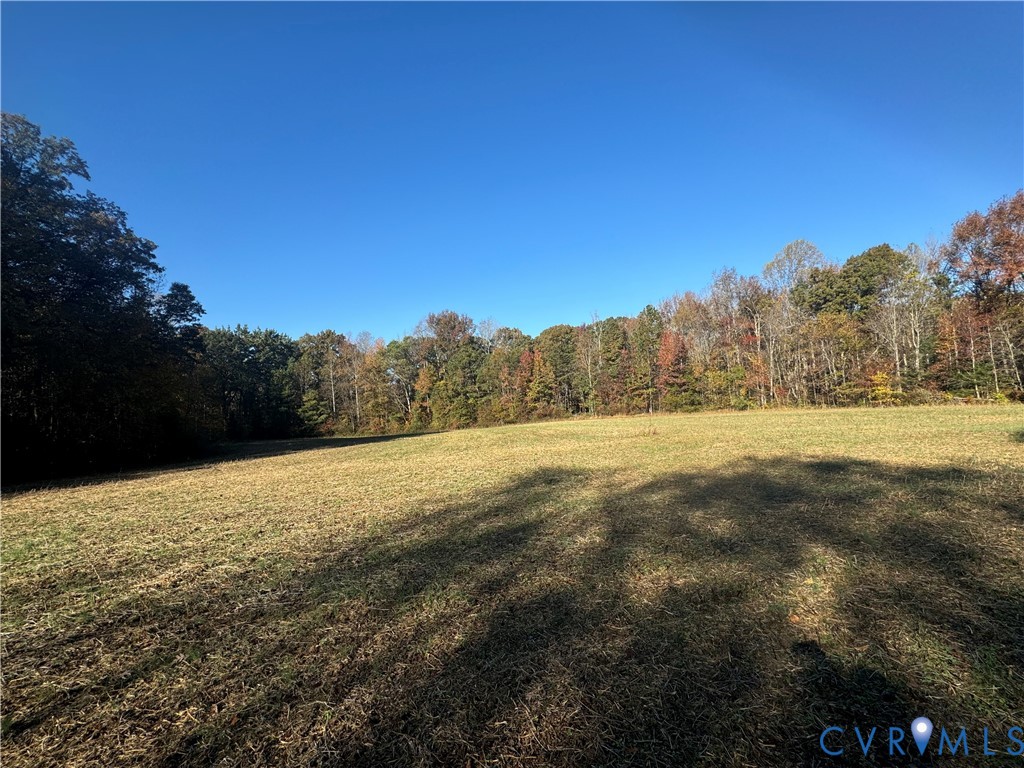 Lot 2 Bourne Road Montpelier, VA 23192 - Photo 45 of 45 View of property