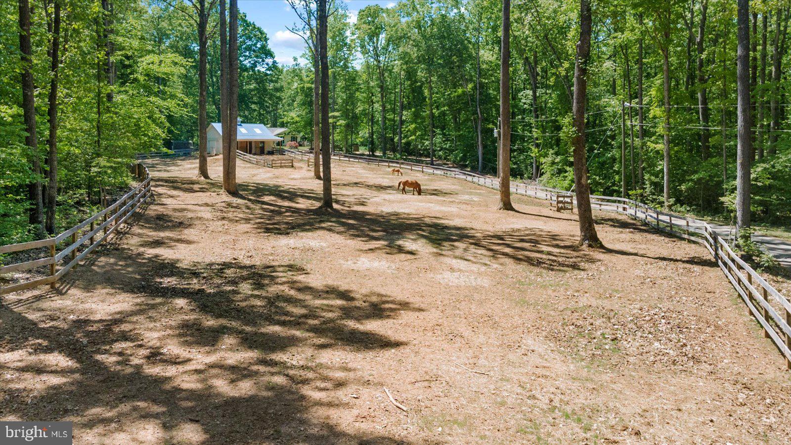 145 Meadows Road Fredericksburg, VA 22406 - Photo 35 of 51 Gallery Image 35