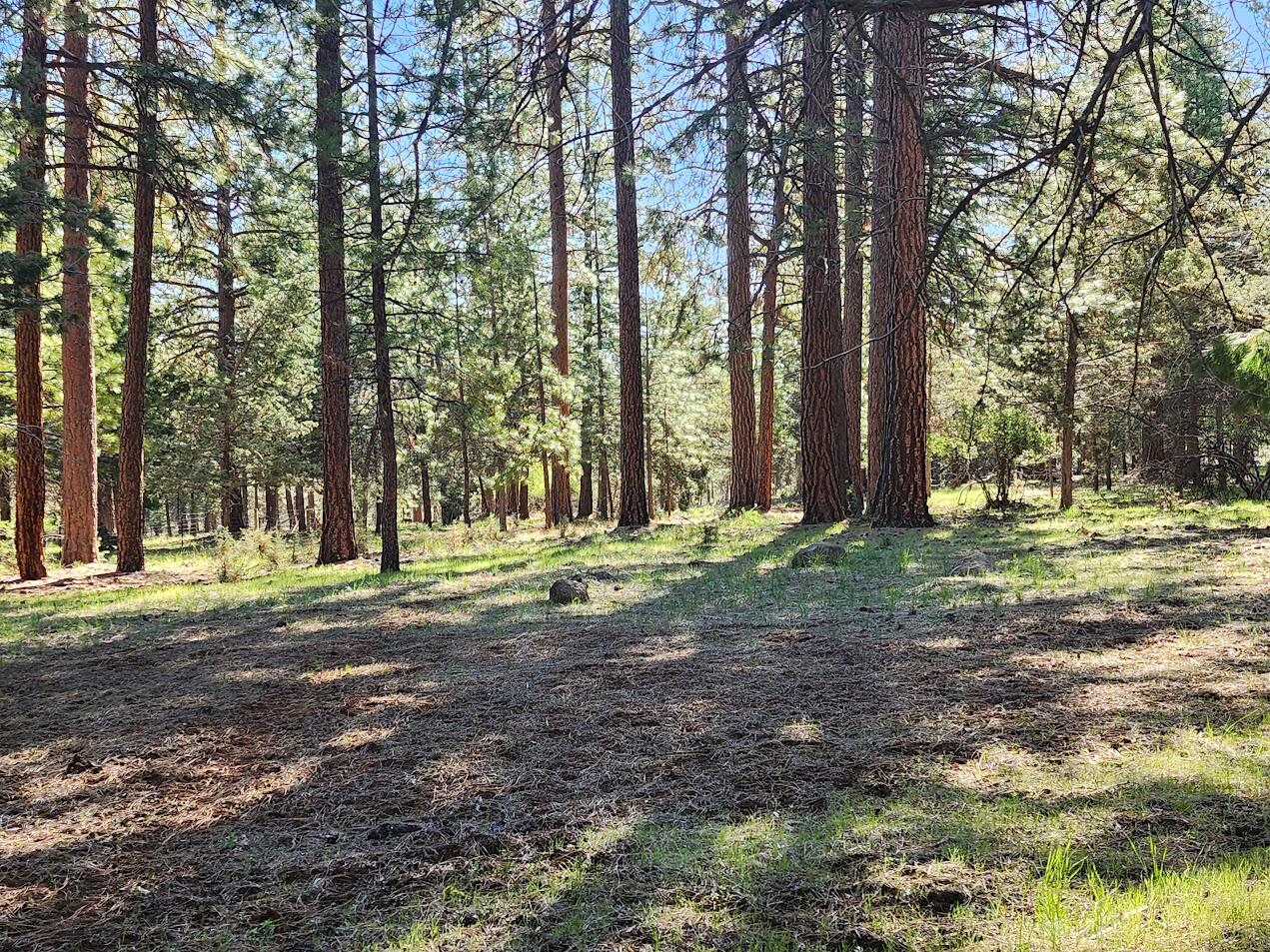 Hillcrest Road Klamath Falls, OR 97603 - Photo 7 of 21 8