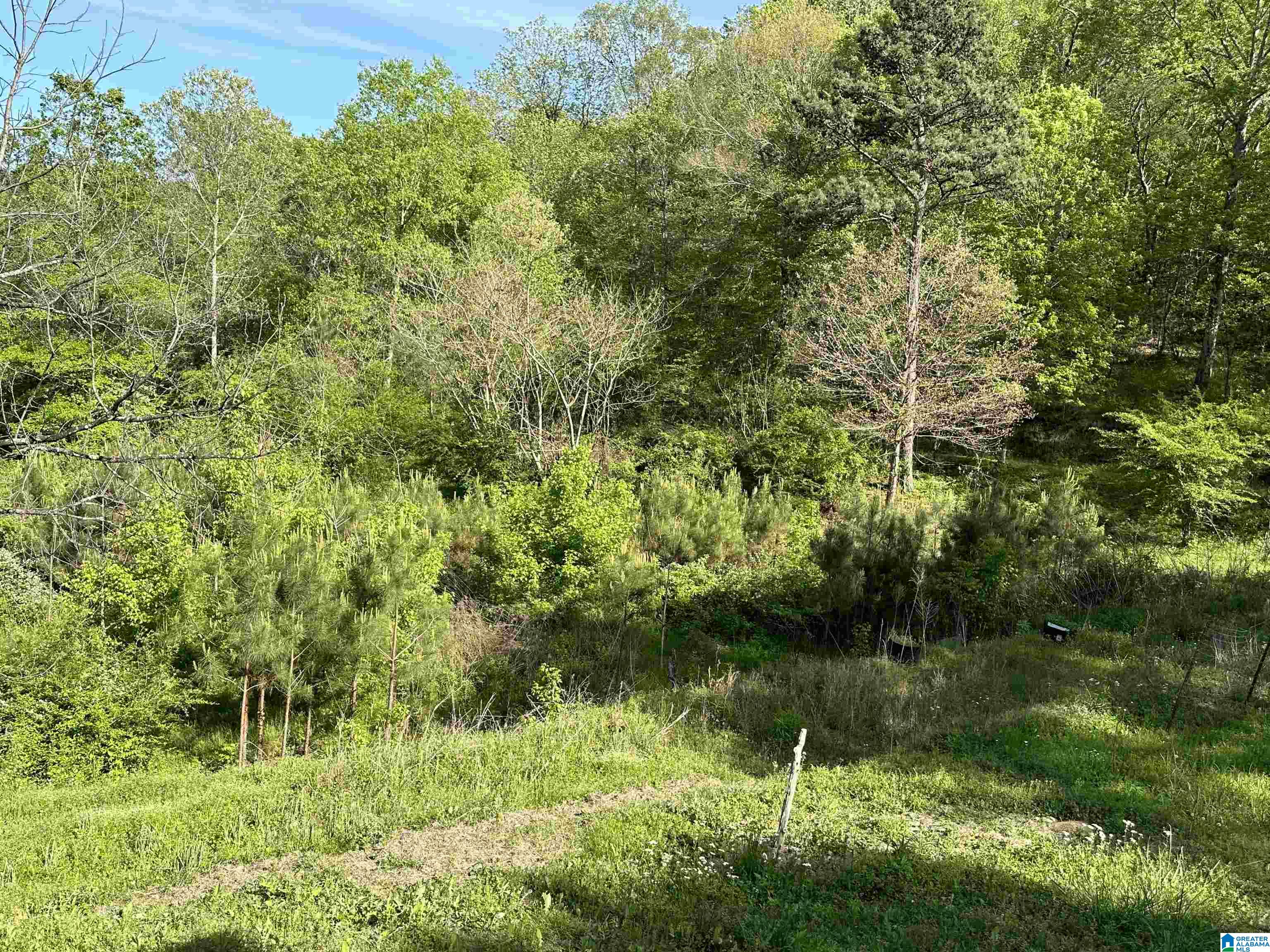 1335 Short Creek Road Mulga, AL 35118 - Photo 4 of 25