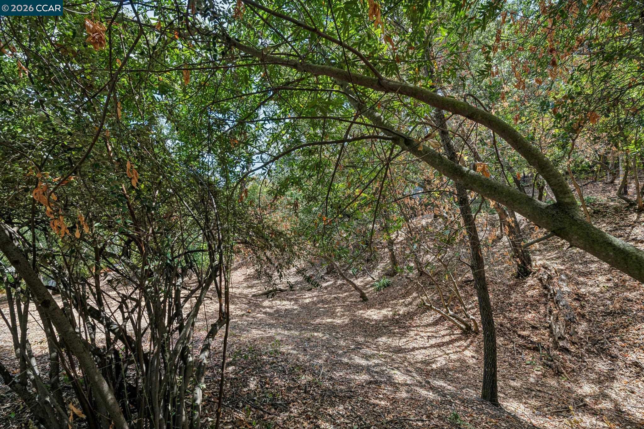 Ridge Road Lafayette, CA 94549 - Photo 6 of 30 Gallery Image 6