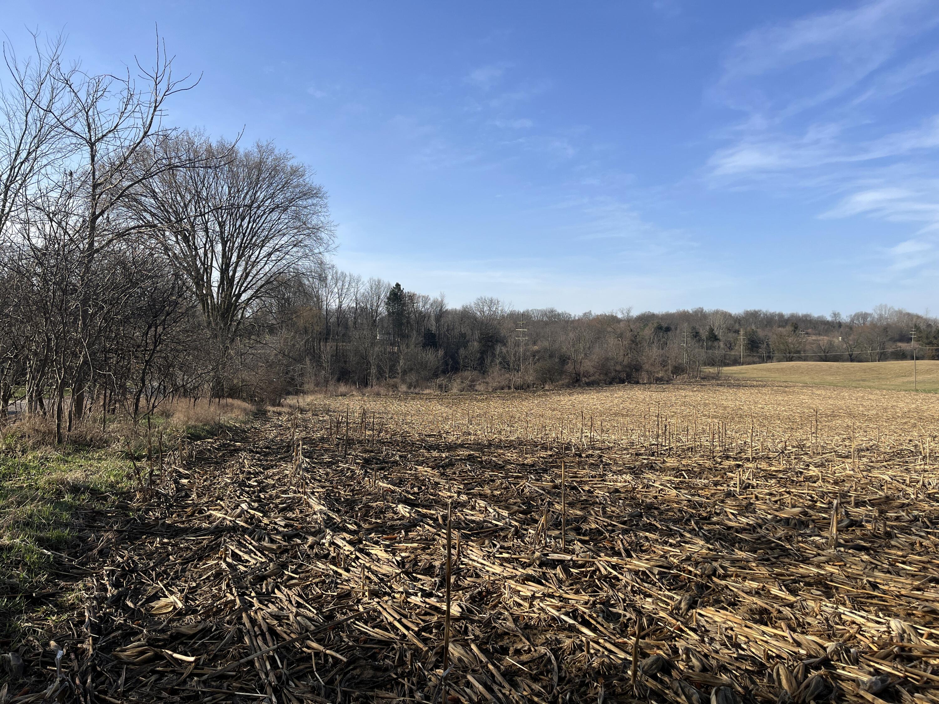 0 North Parker Road Dexter, MI 48130 - Photo 8 of 14 Parker Rd 4