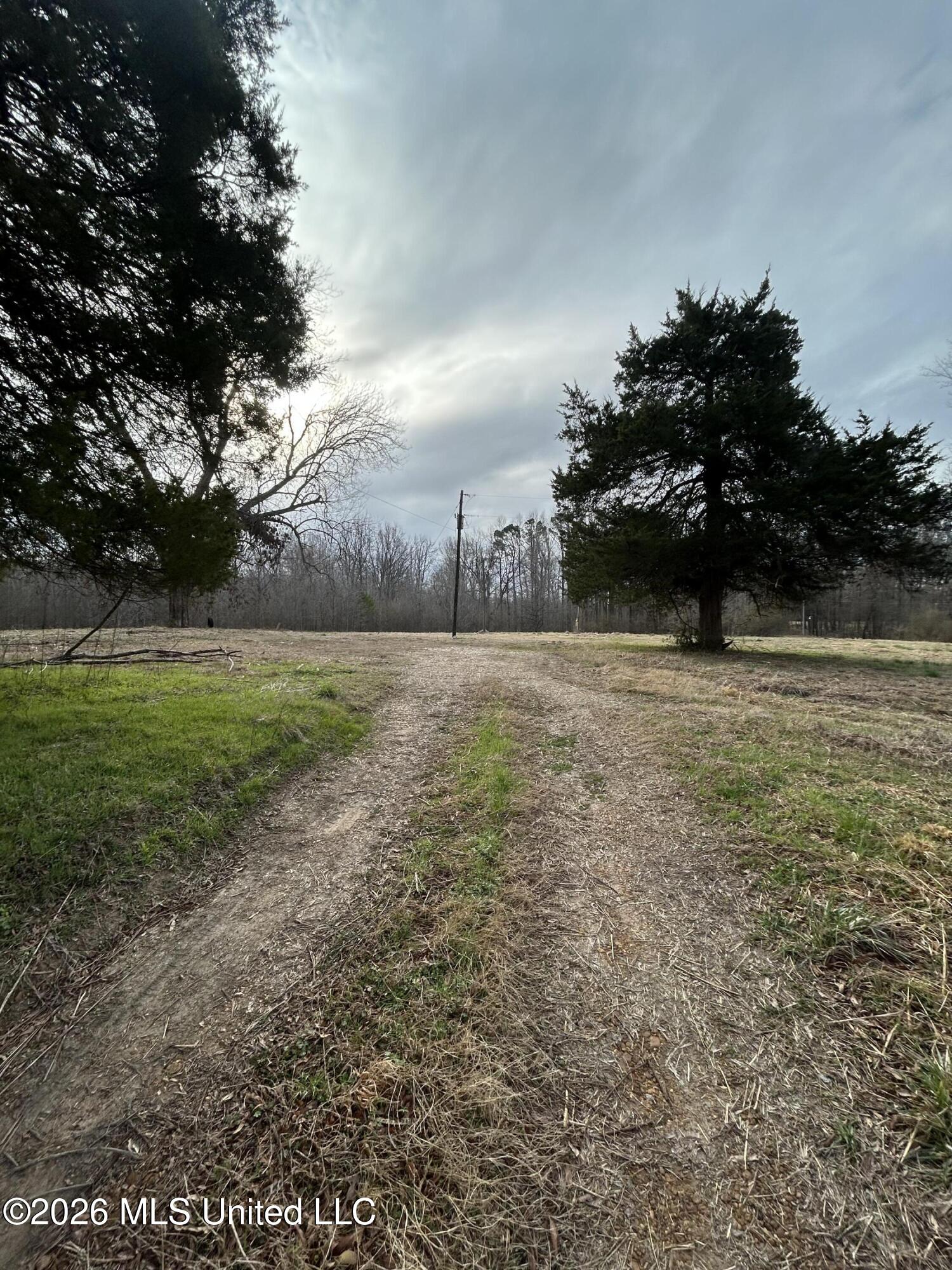 9943 West Commerce Street Hernando, MS 38632 - Photo 2 of 6 IMG_1637